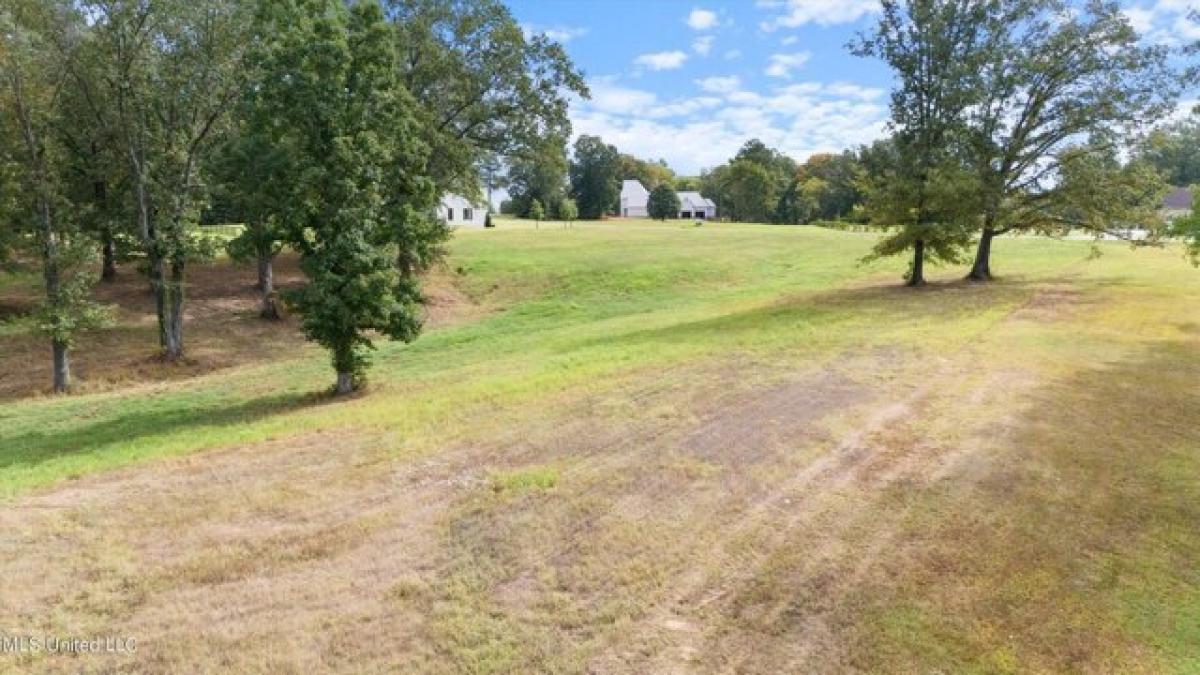 Picture of Residential Land For Sale in Hernando, Mississippi, United States