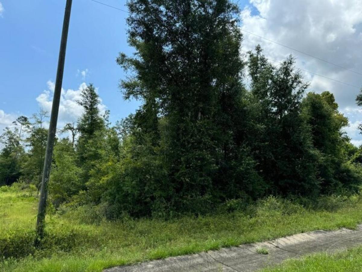 Picture of Residential Land For Rent in Marianna, Florida, United States