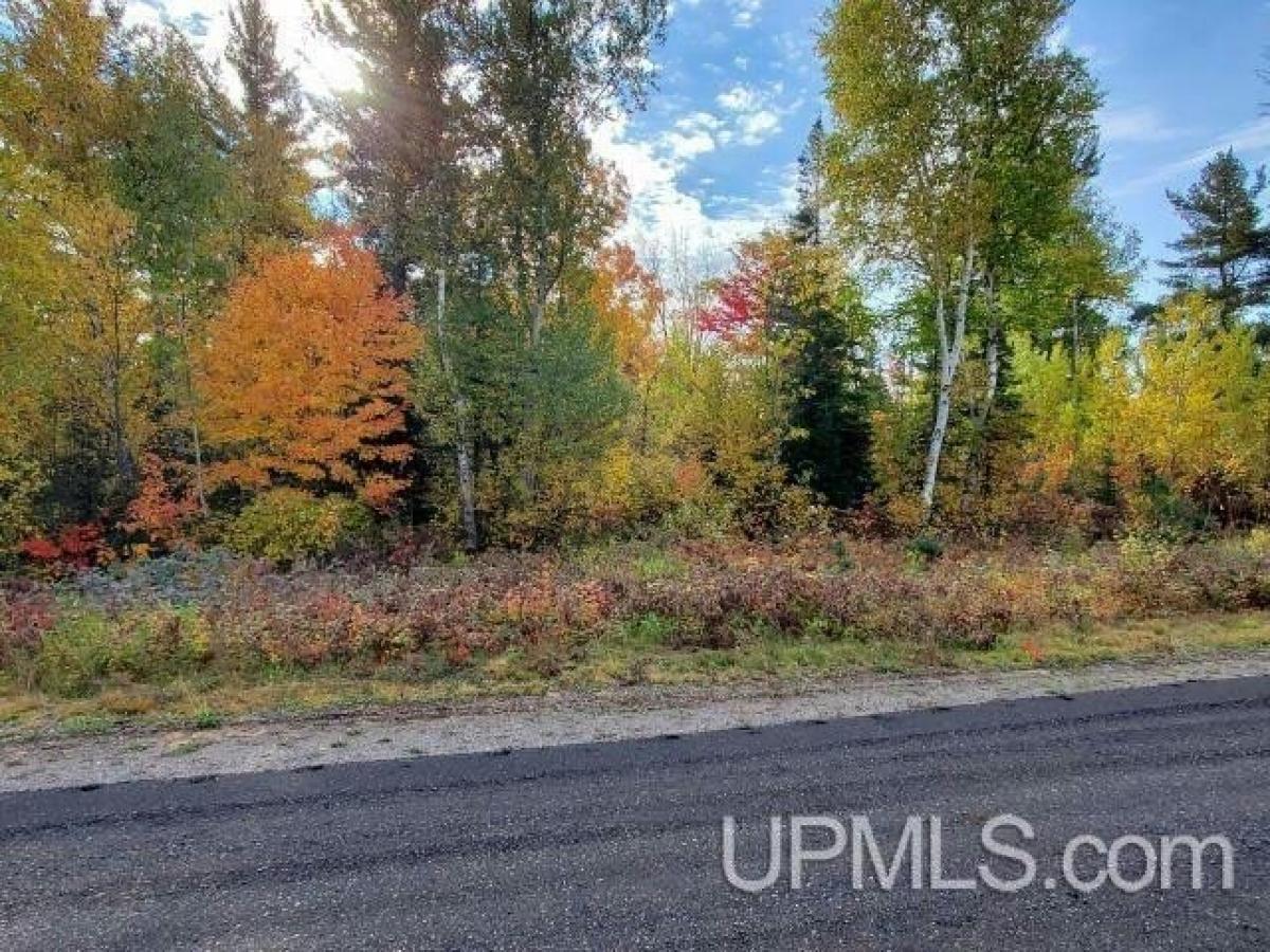 Picture of Residential Land For Sale in Ishpeming, Michigan, United States