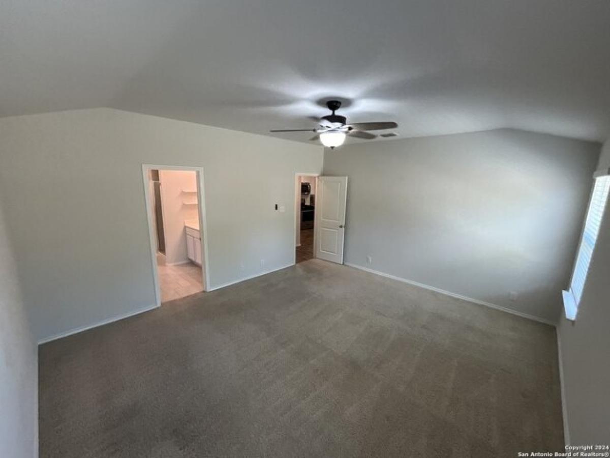 Picture of Home For Rent in Converse, Texas, United States