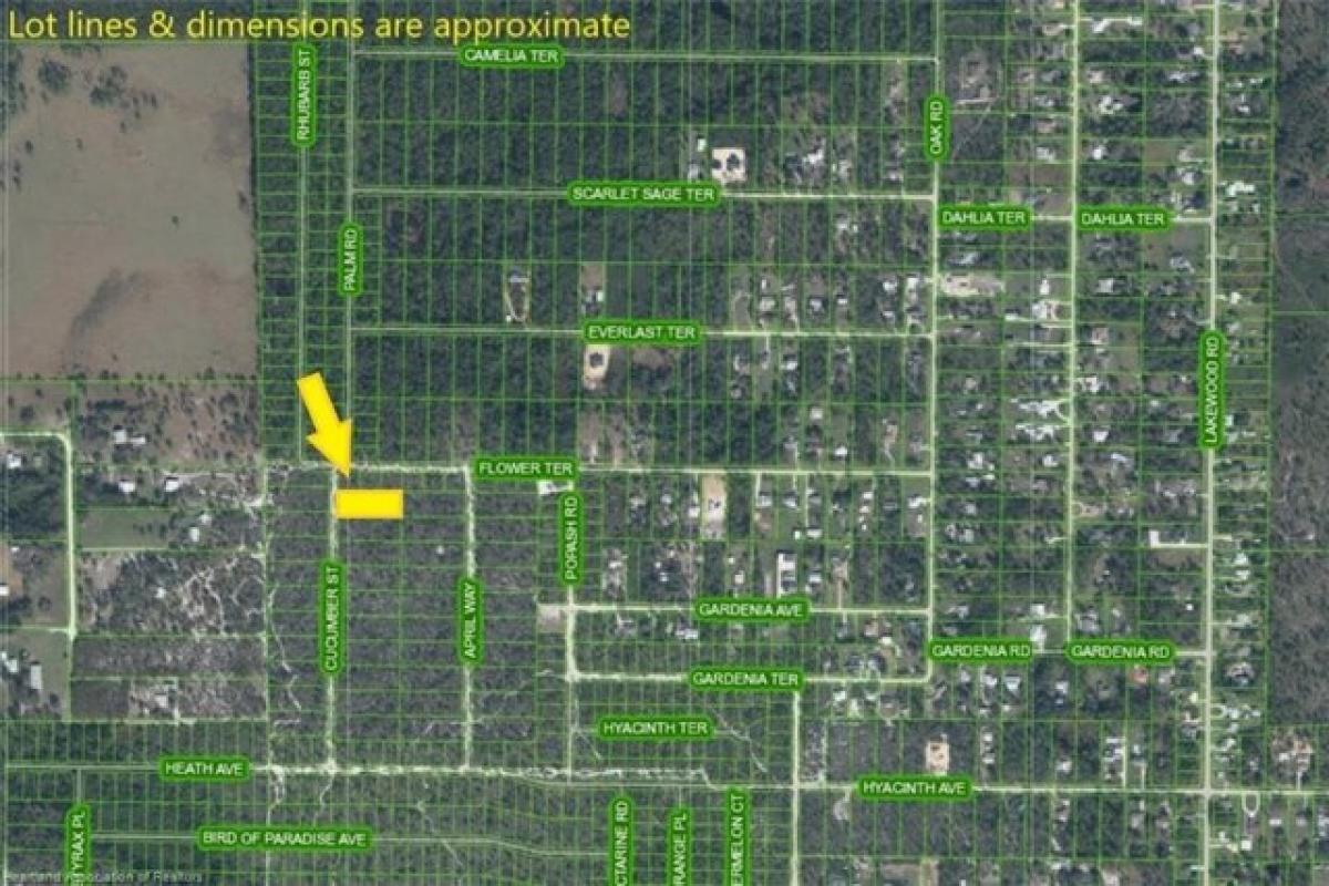 Picture of Residential Land For Sale in Sebring, Florida, United States