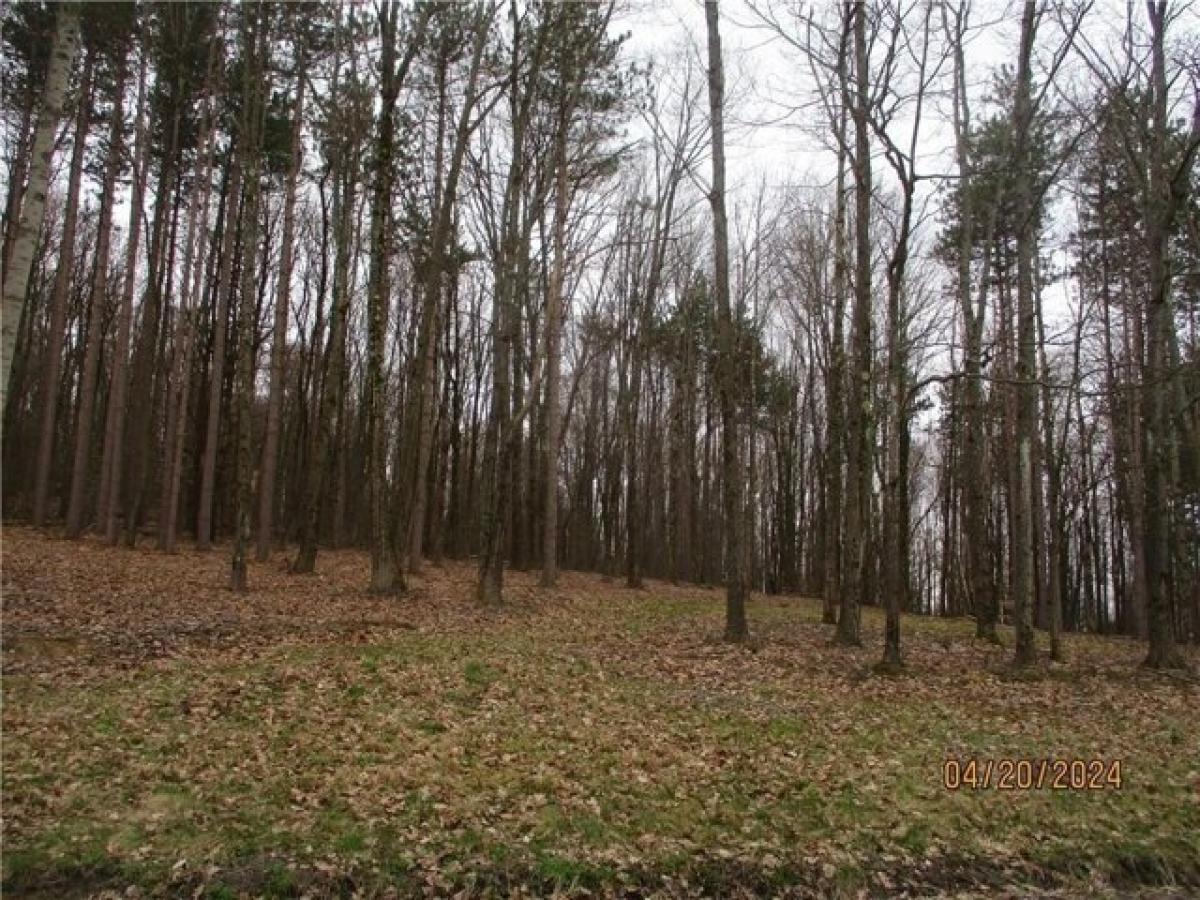 Picture of Residential Land For Sale in Windsor, New York, United States