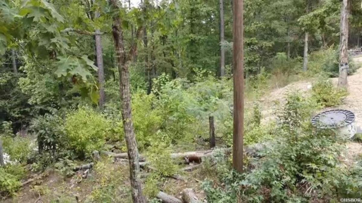 Picture of Residential Land For Sale in Hot Springs, Arkansas, United States