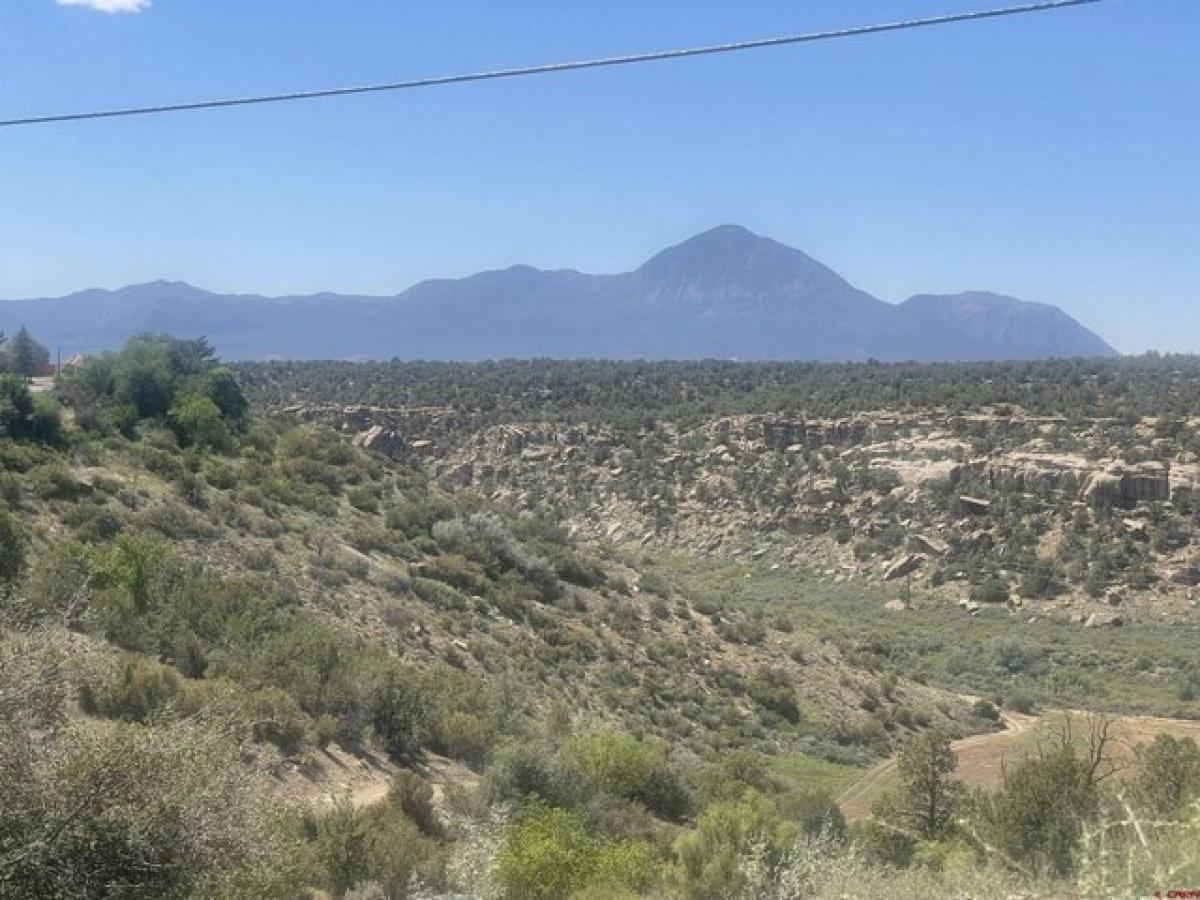 Picture of Residential Land For Sale in Cortez, Colorado, United States