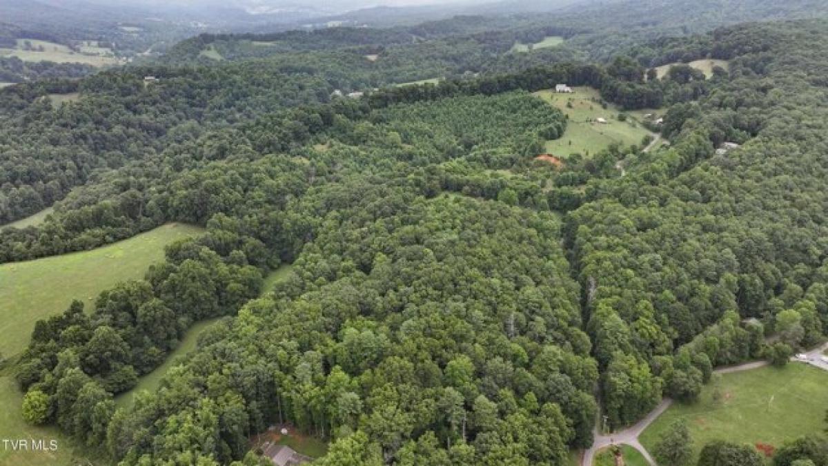 Picture of Residential Land For Sale in Elizabethton, Tennessee, United States