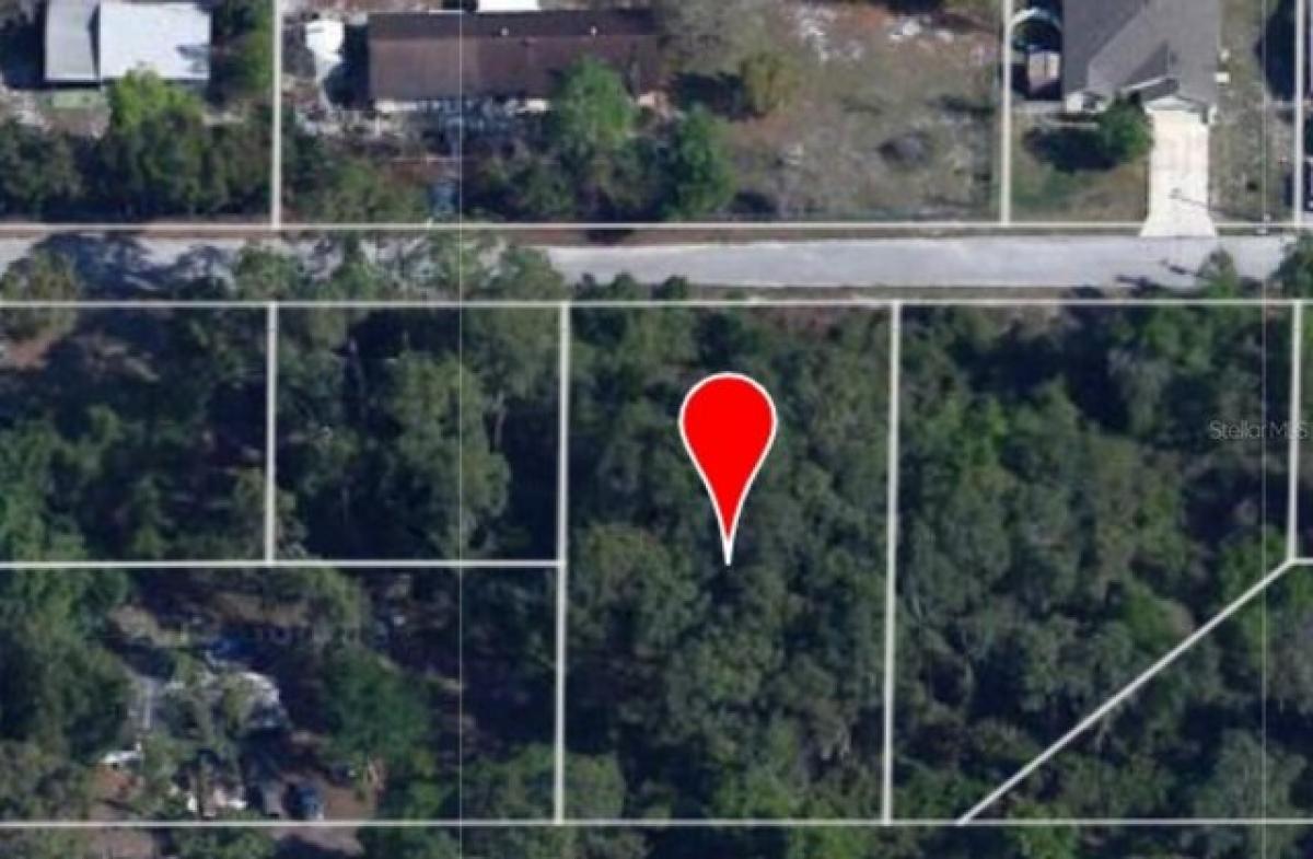 Picture of Residential Land For Sale in Leesburg, Florida, United States