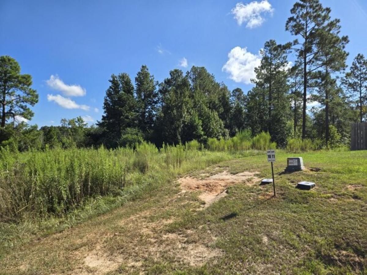 Picture of Residential Land For Sale in Purvis, Mississippi, United States