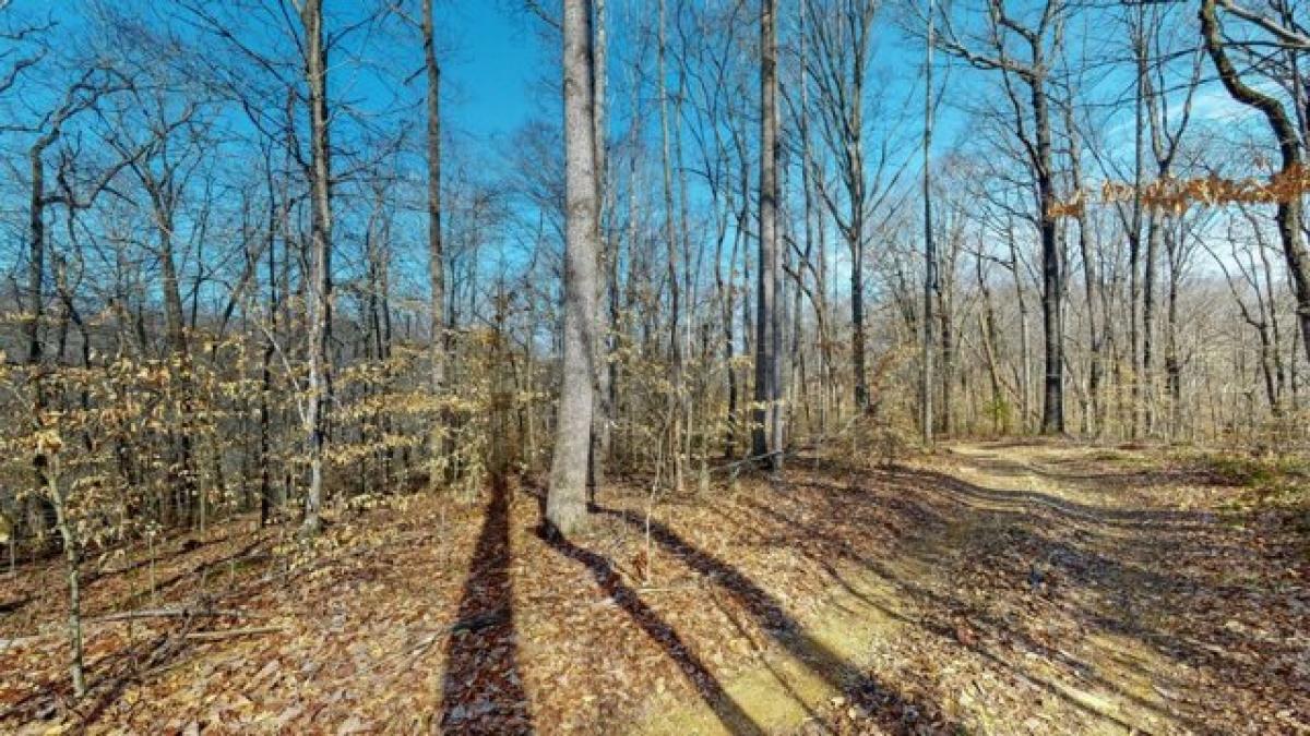 Picture of Residential Land For Sale in Ashland City, Tennessee, United States