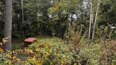 Residential Land For Sale in Horton, Michigan