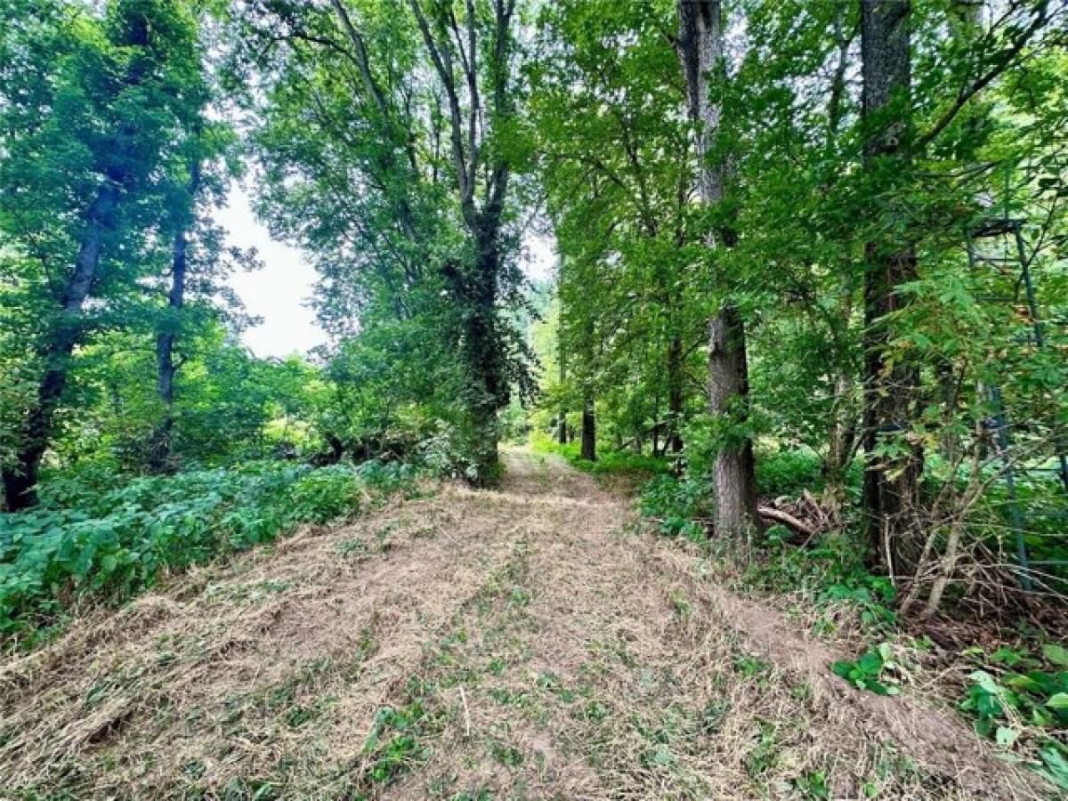 Picture of Residential Land For Sale in Houston, Missouri, United States