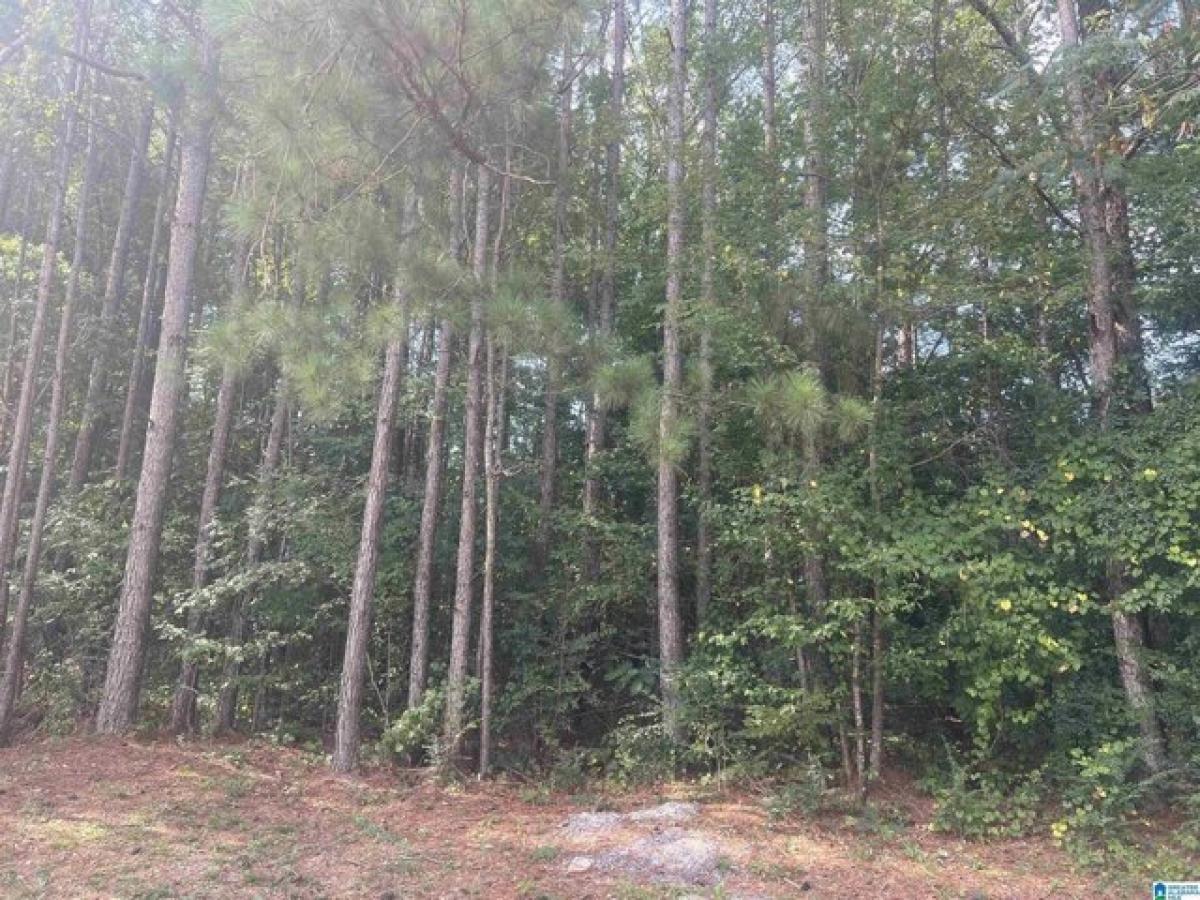 Picture of Residential Land For Sale in Sylacauga, Alabama, United States