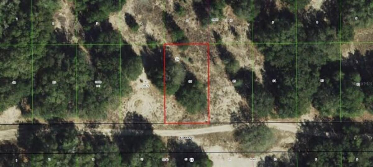 Picture of Residential Land For Sale in Inverness, Florida, United States