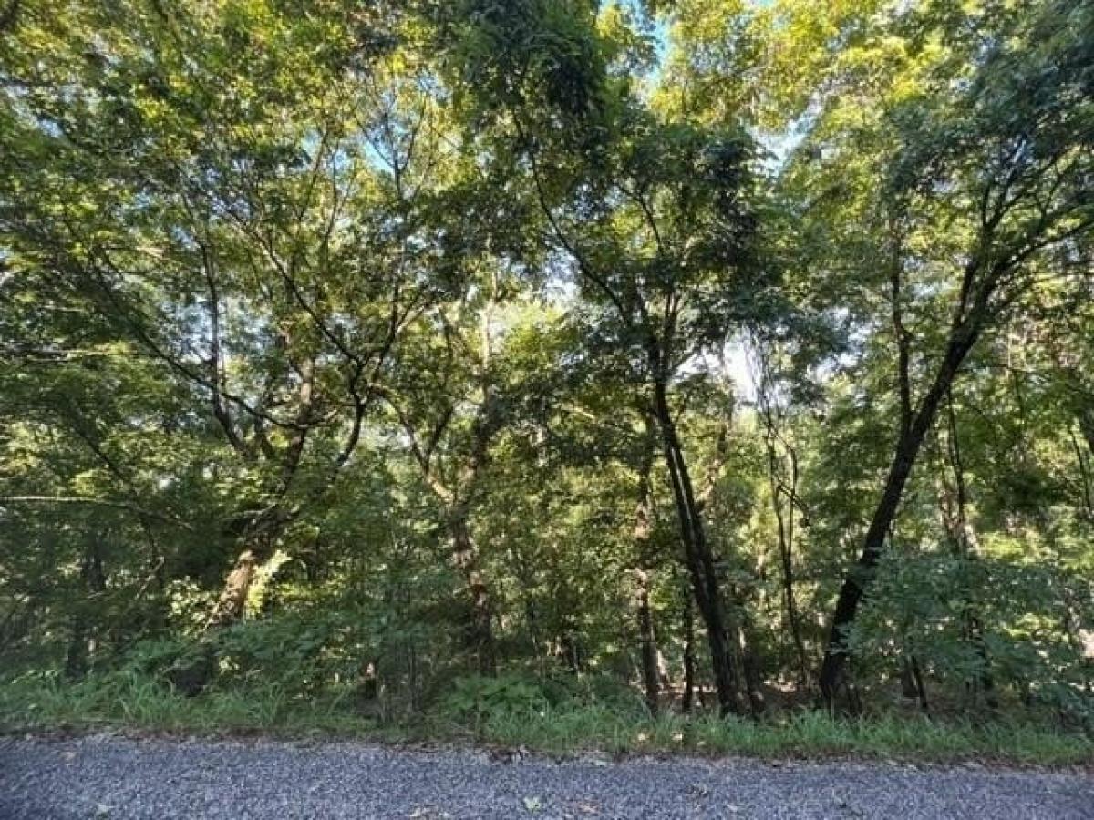 Picture of Residential Land For Rent in Holiday Island, Arkansas, United States