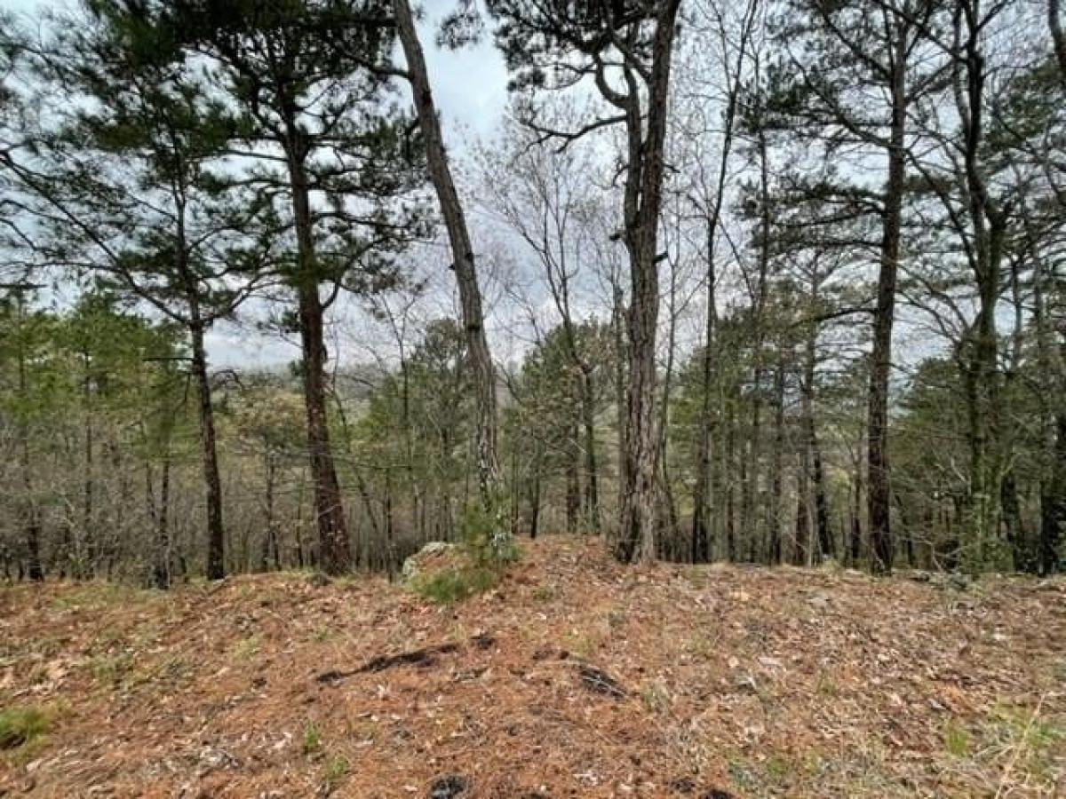 Picture of Residential Land For Rent in Holiday Island, Arkansas, United States