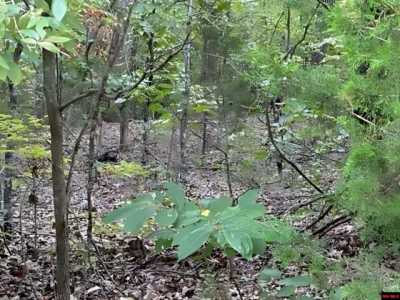 Residential Land For Sale in Flippin, Arkansas