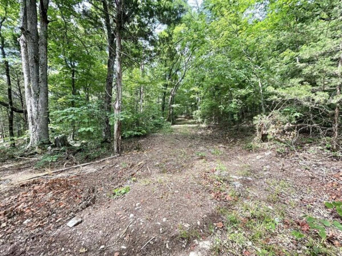 Picture of Residential Land For Sale in Lebanon, Tennessee, United States