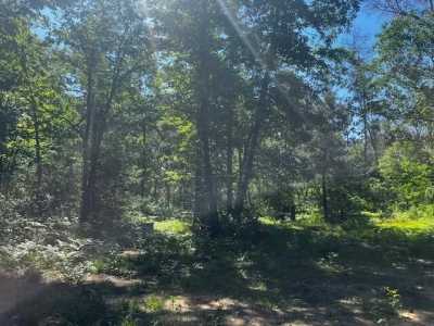 Residential Land For Sale in Irons, Michigan