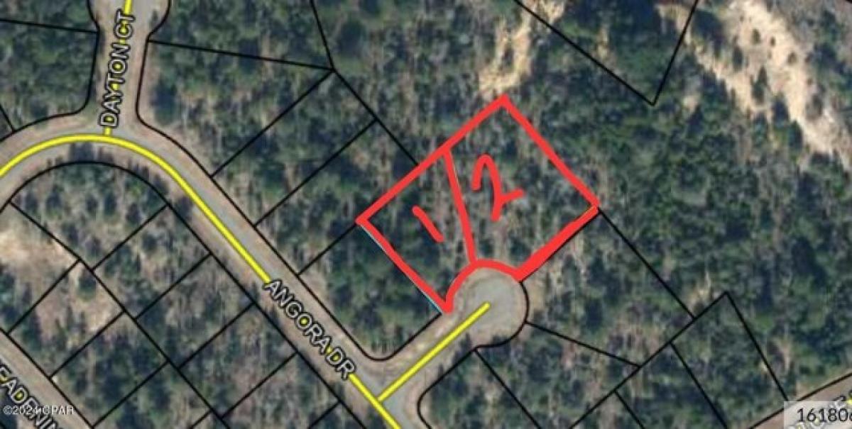 Picture of Residential Land For Sale in Chipley, Florida, United States