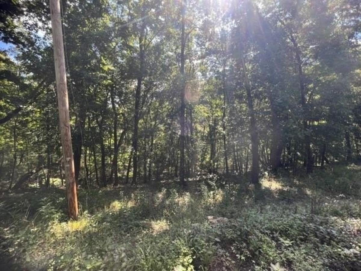 Picture of Residential Land For Rent in Holiday Island, Arkansas, United States