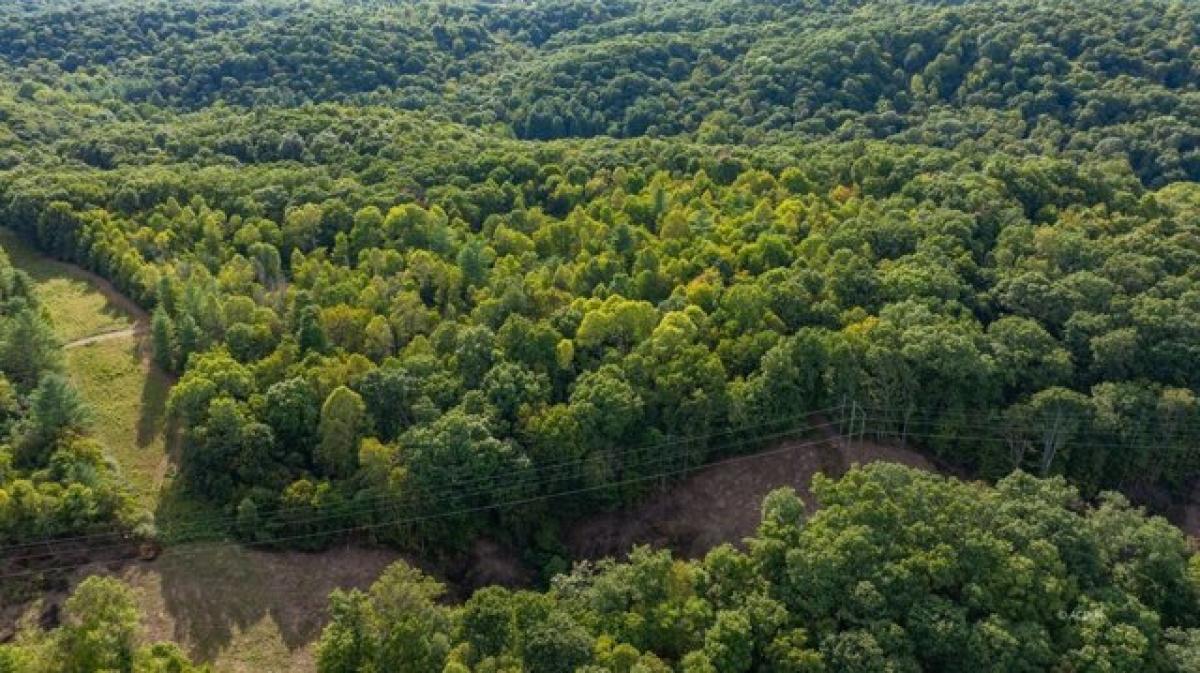 Picture of Residential Land For Sale in Athens, Ohio, United States