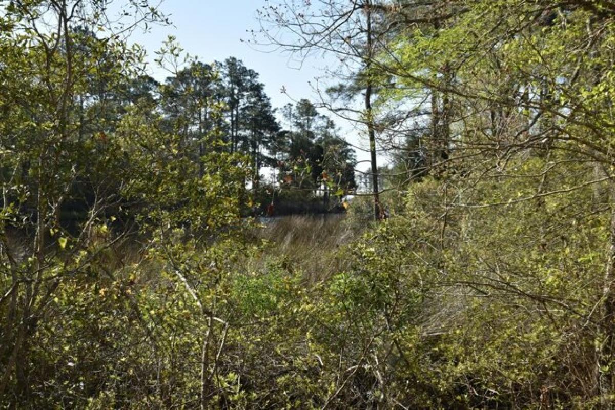 Picture of Residential Land For Sale in Bath, North Carolina, United States