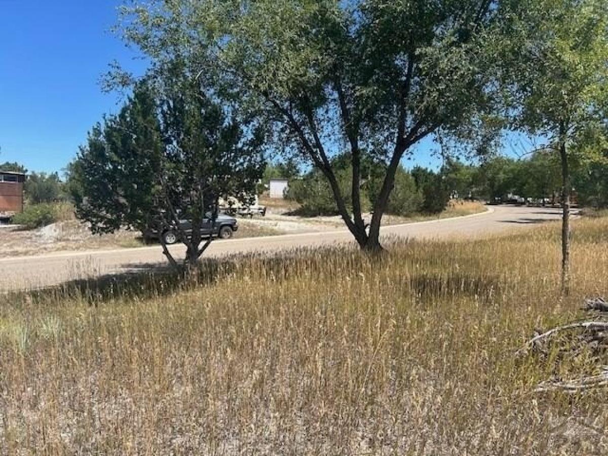 Picture of Residential Land For Sale in Colorado City, Colorado, United States