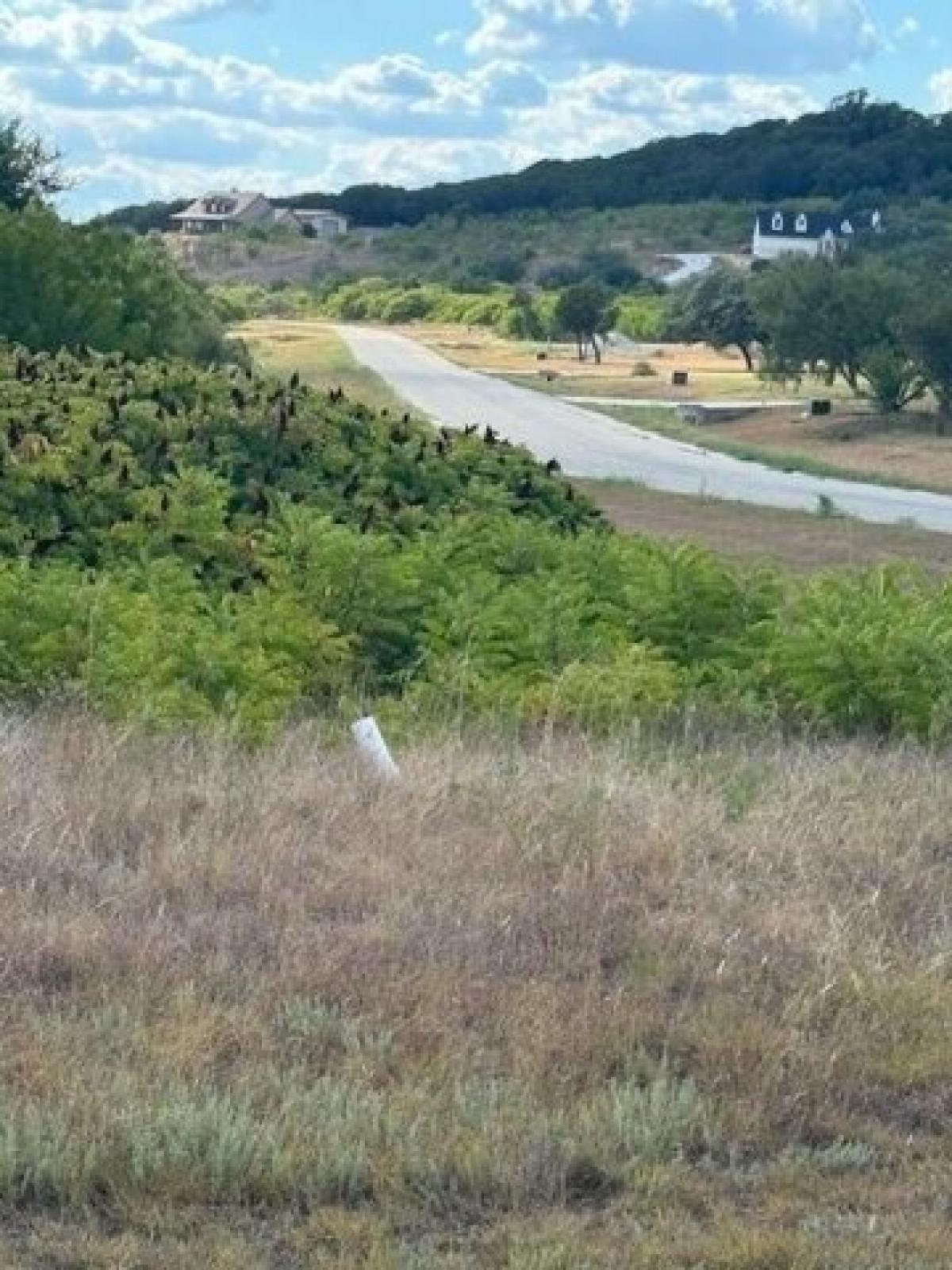 Picture of Residential Land For Sale in Graford, Texas, United States