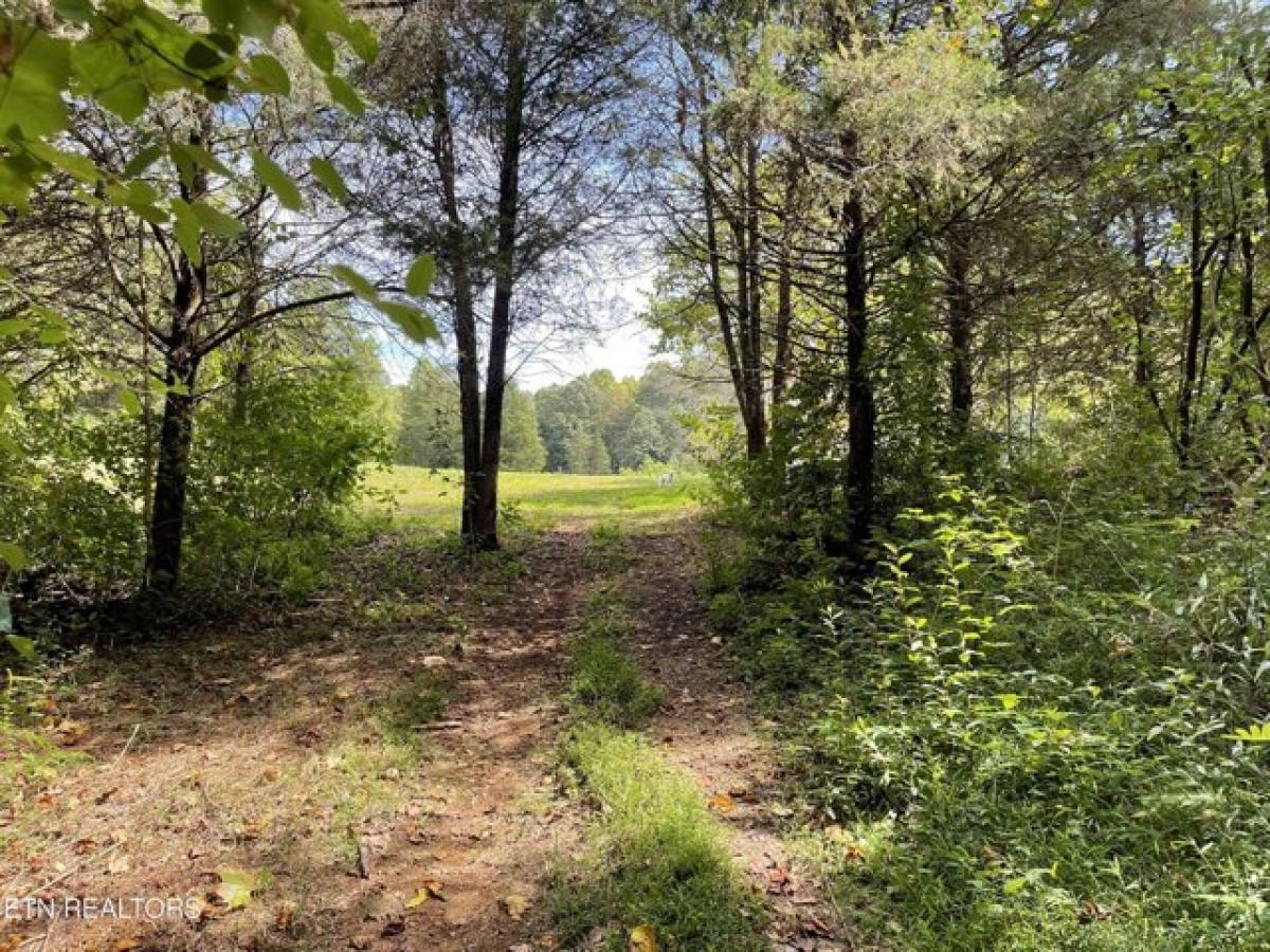 Picture of Residential Land For Sale in Clinton, Tennessee, United States