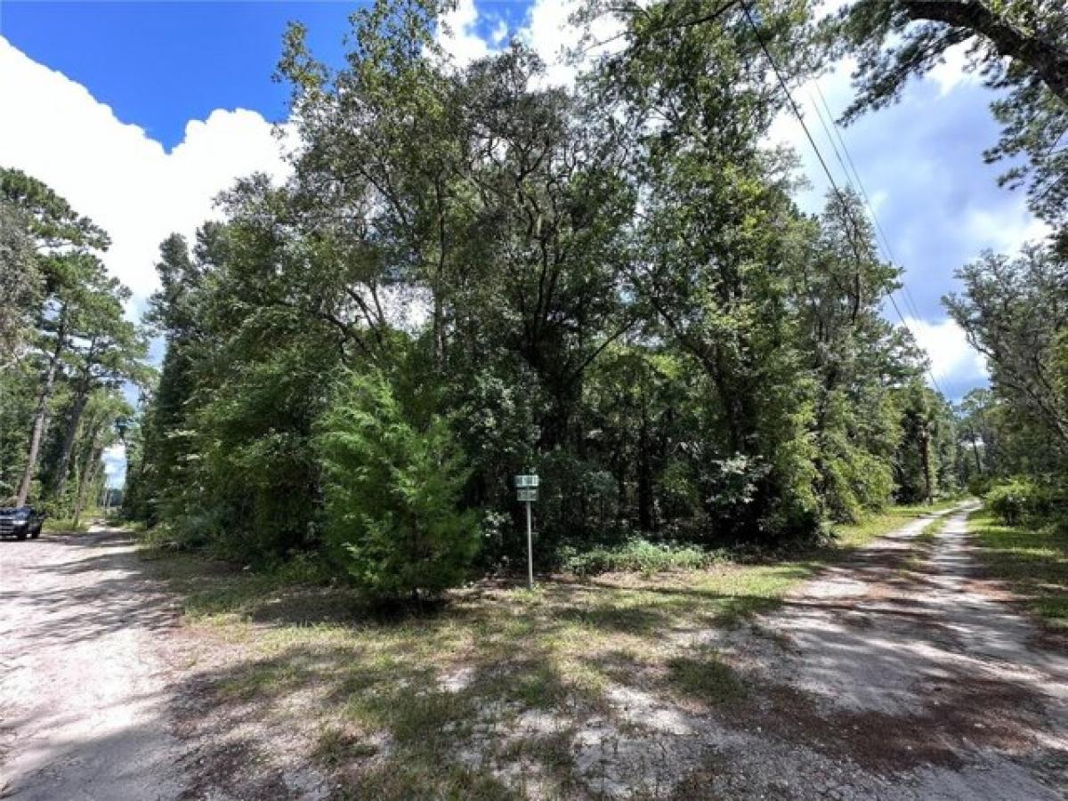 Picture of Residential Land For Sale in Fort Mccoy, Florida, United States