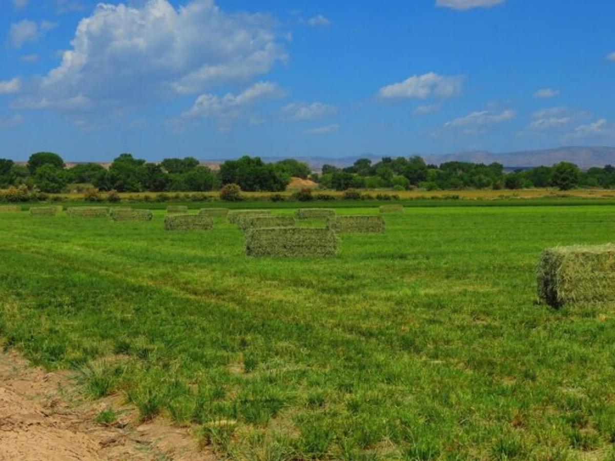 Picture of Residential Land For Sale in Mack, Colorado, United States