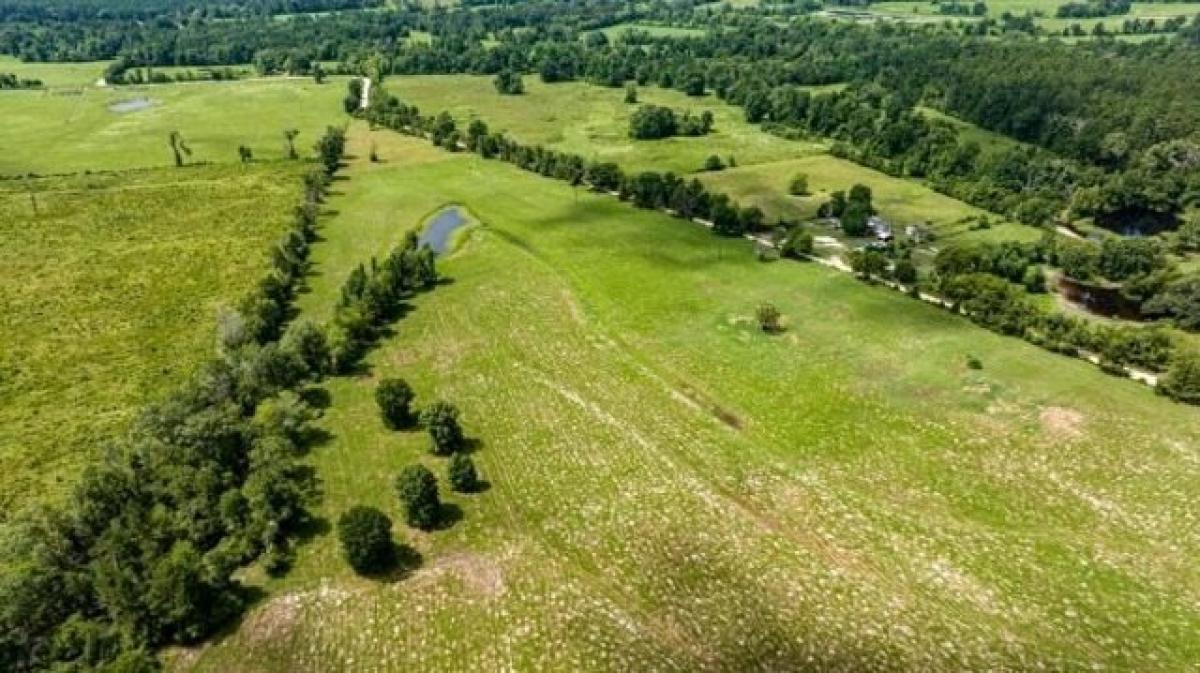 Picture of Residential Land For Sale in Apple Springs, Texas, United States