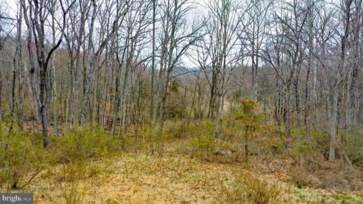 Picture of Residential Land For Sale in Upper Black Eddy, Pennsylvania, United States