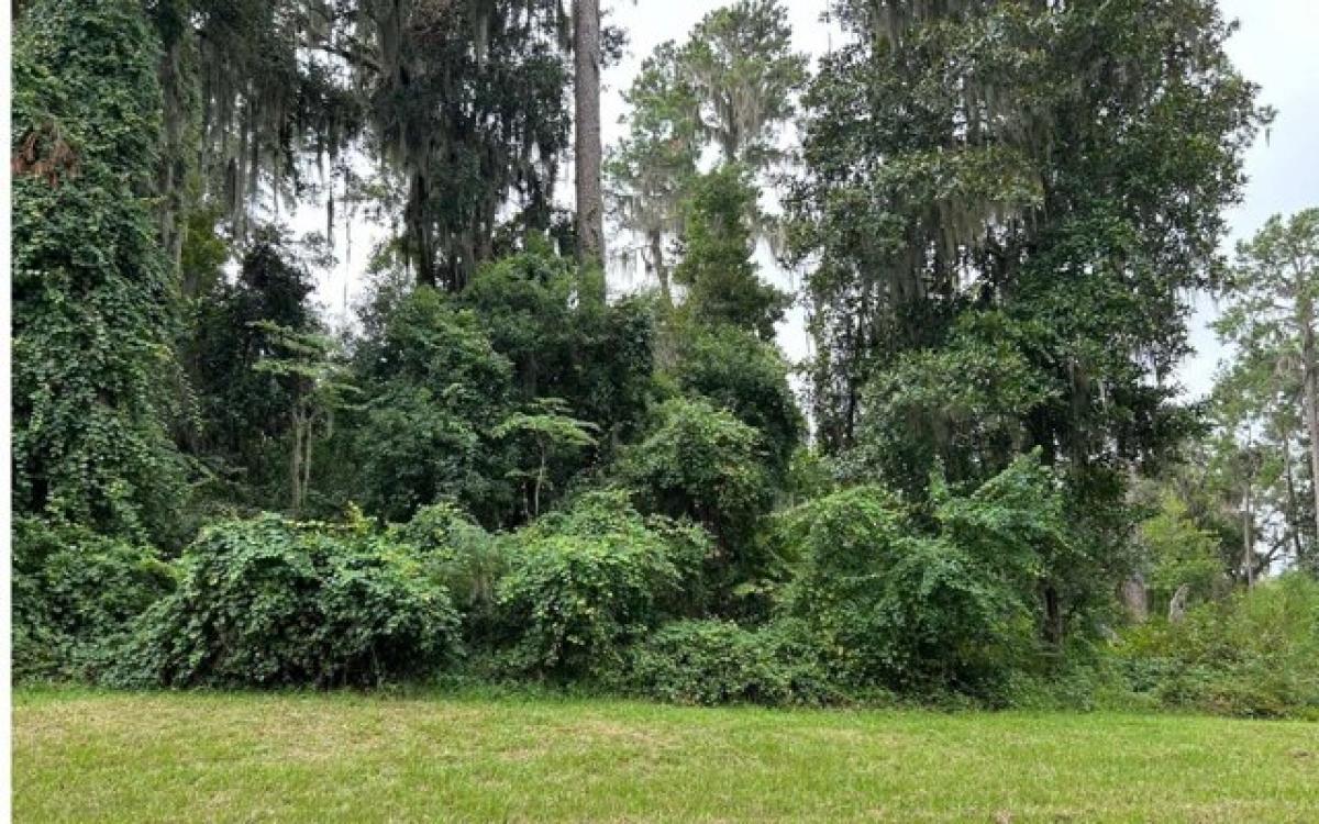 Picture of Residential Land For Sale in Lake City, Florida, United States