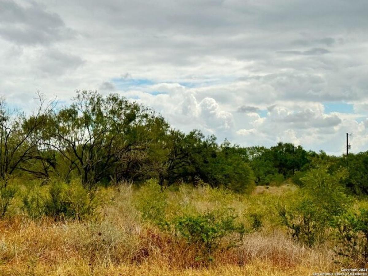 Picture of Residential Land For Sale in Devine, Texas, United States