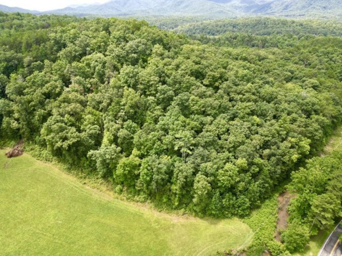 Picture of Residential Land For Sale in Turtletown, Tennessee, United States