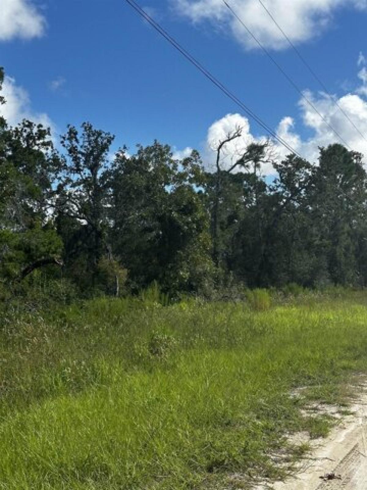 Picture of Residential Land For Sale in Perry, Florida, United States