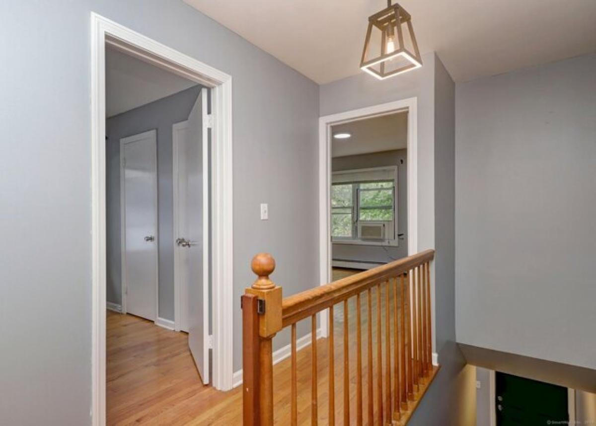 Picture of Apartment For Rent in New Haven, Connecticut, United States