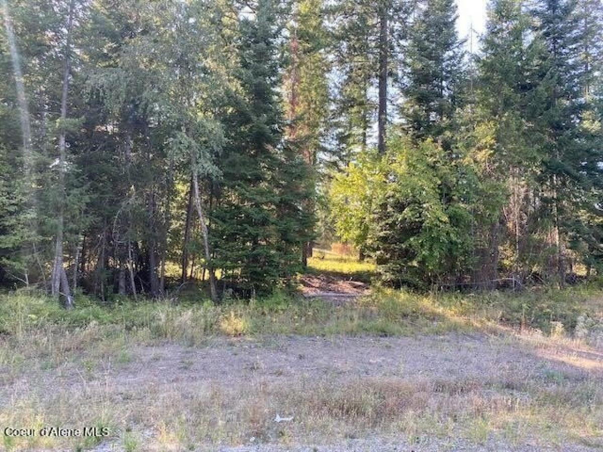 Picture of Residential Land For Sale in Rathdrum, Idaho, United States