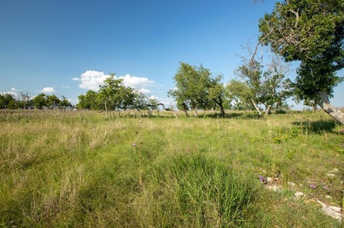 Picture of Residential Land For Sale in Fredericksburg, Texas, United States