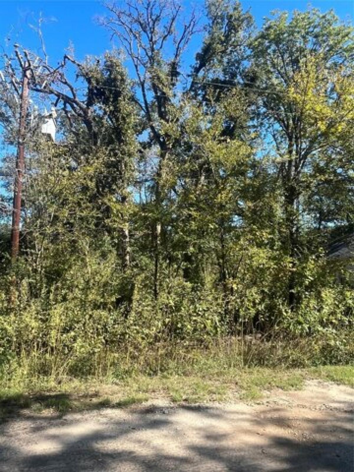 Picture of Residential Land For Sale in Trinidad, Texas, United States