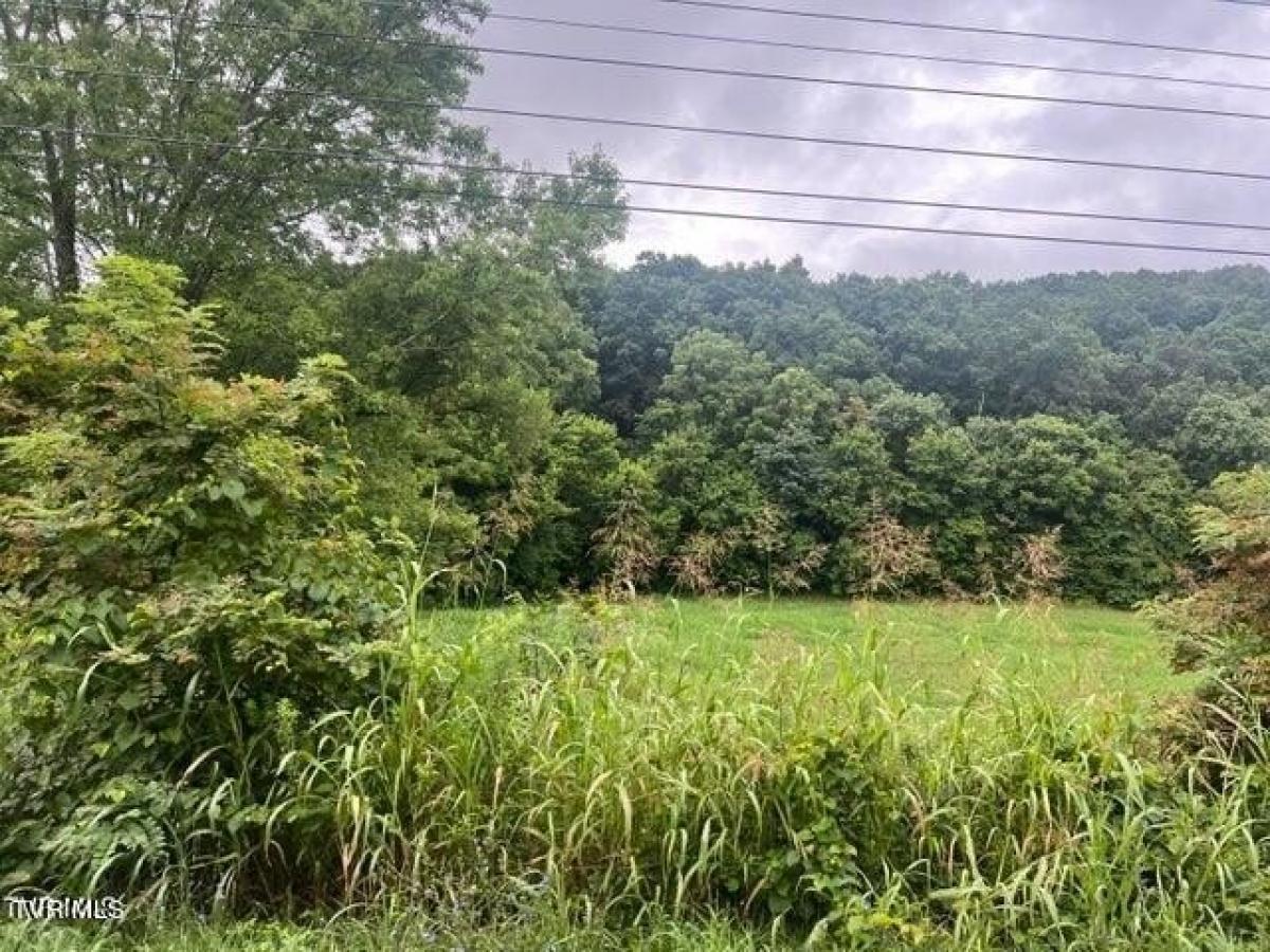 Picture of Residential Land For Sale in Chuckey, Tennessee, United States