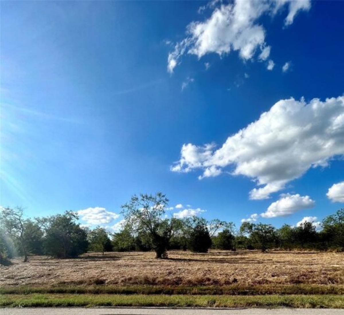 Picture of Residential Land For Sale in Kemp, Texas, United States