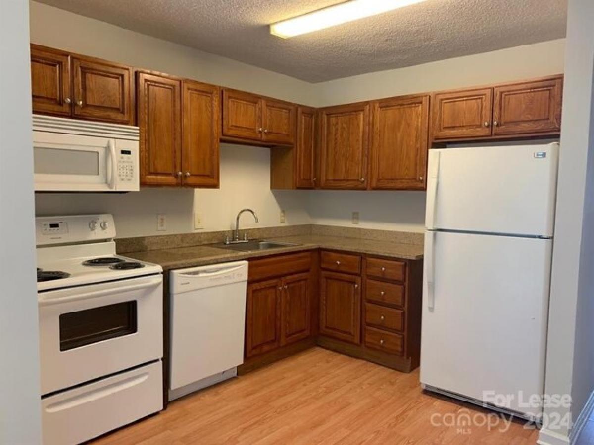 Picture of Apartment For Rent in Concord, North Carolina, United States