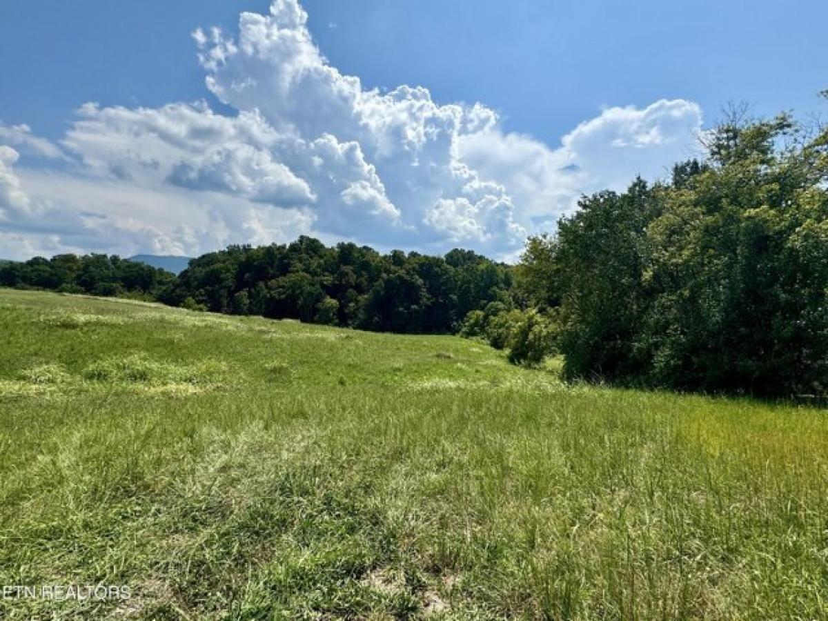 Picture of Residential Land For Sale in Seymour, Tennessee, United States