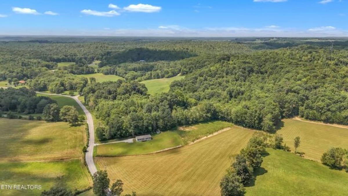 Picture of Residential Land For Sale in Helenwood, Tennessee, United States