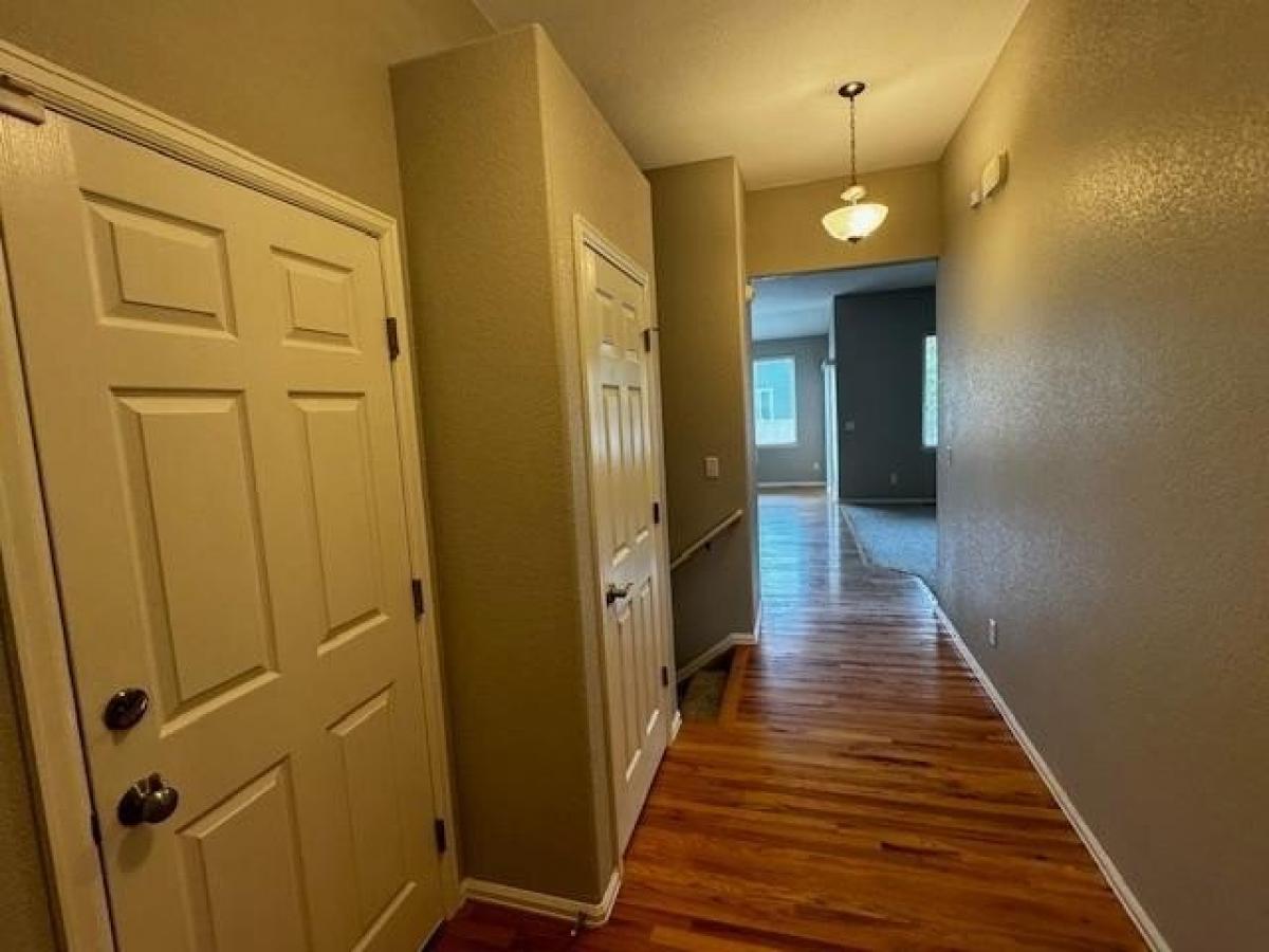 Picture of Home For Rent in Colorado Springs, Colorado, United States