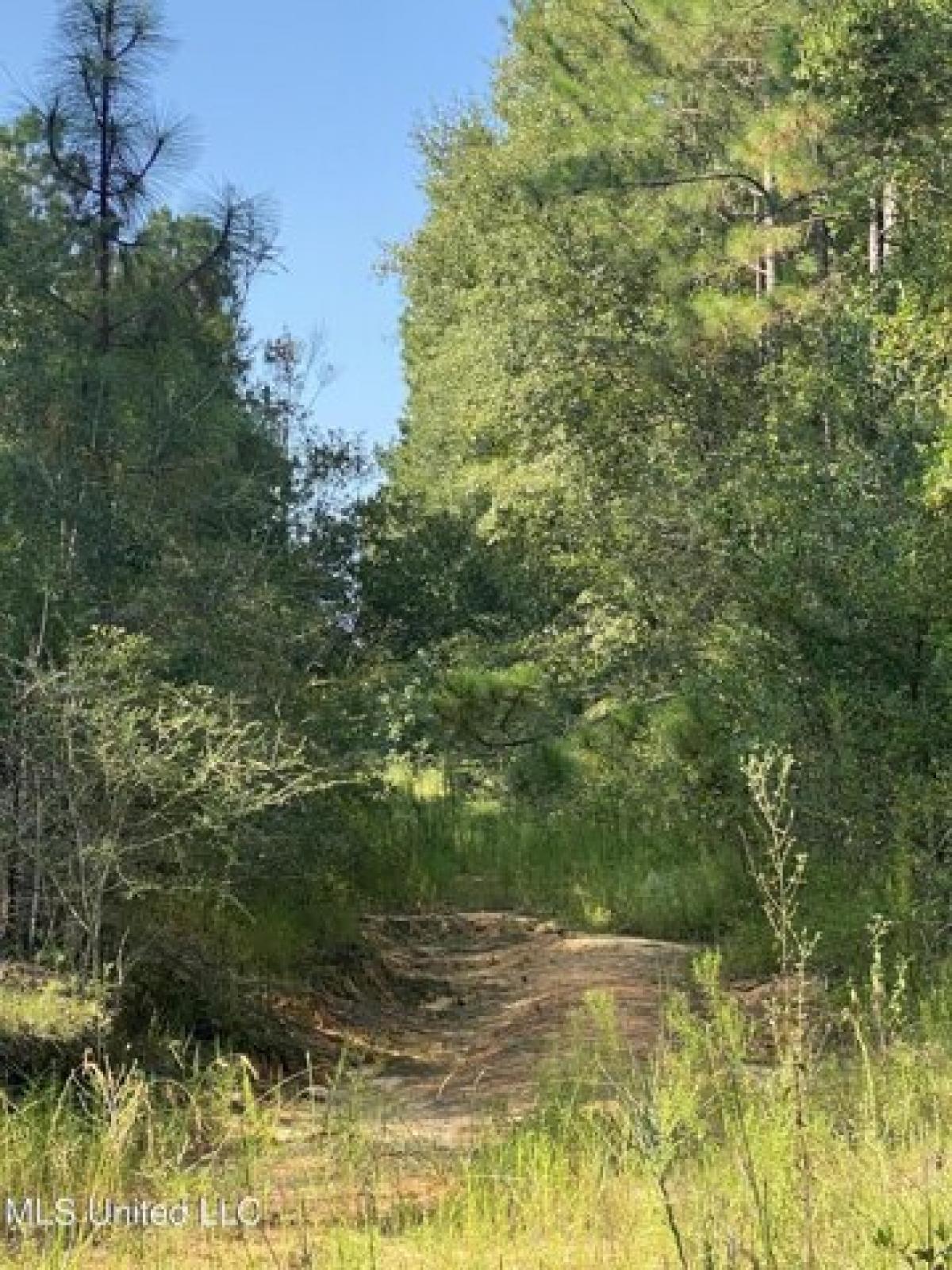 Picture of Residential Land For Sale in Perkinston, Mississippi, United States