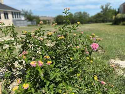 Residential Land For Sale in Fredericksburg, Texas