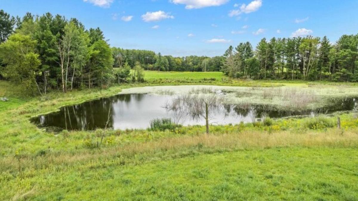 Picture of Residential Land For Sale in Rosholt, Wisconsin, United States