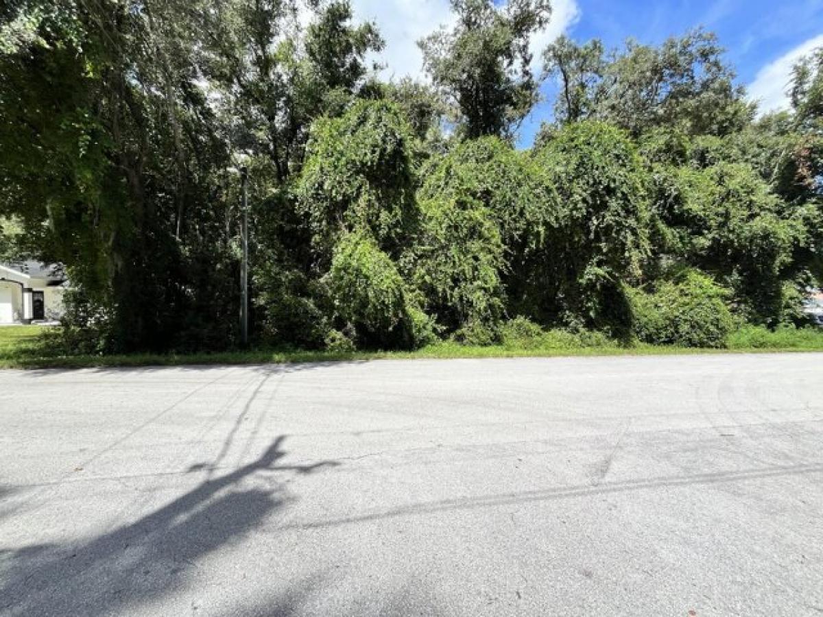 Picture of Residential Land For Sale in Summerfield, Florida, United States